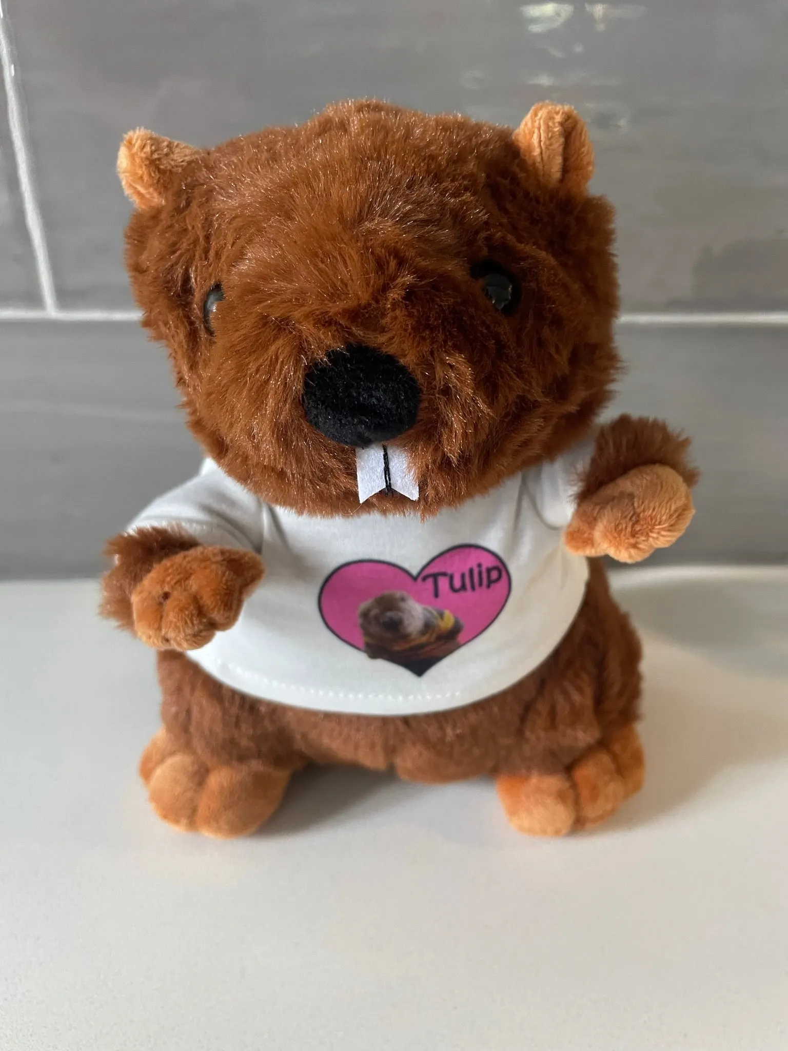Tulip Beaver Plush LIMITED EDITION