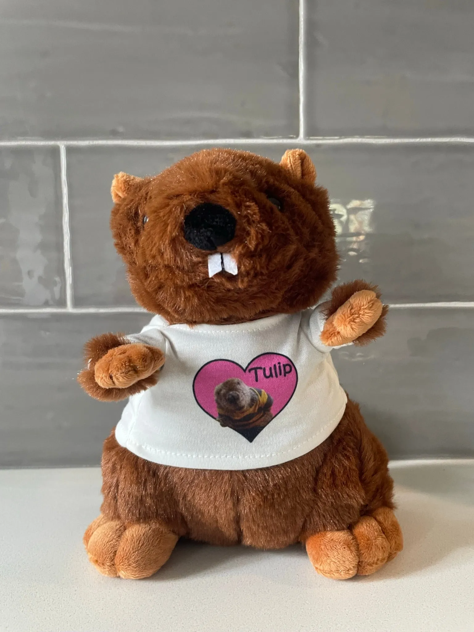 Tulip Beaver Plush LIMITED EDITION